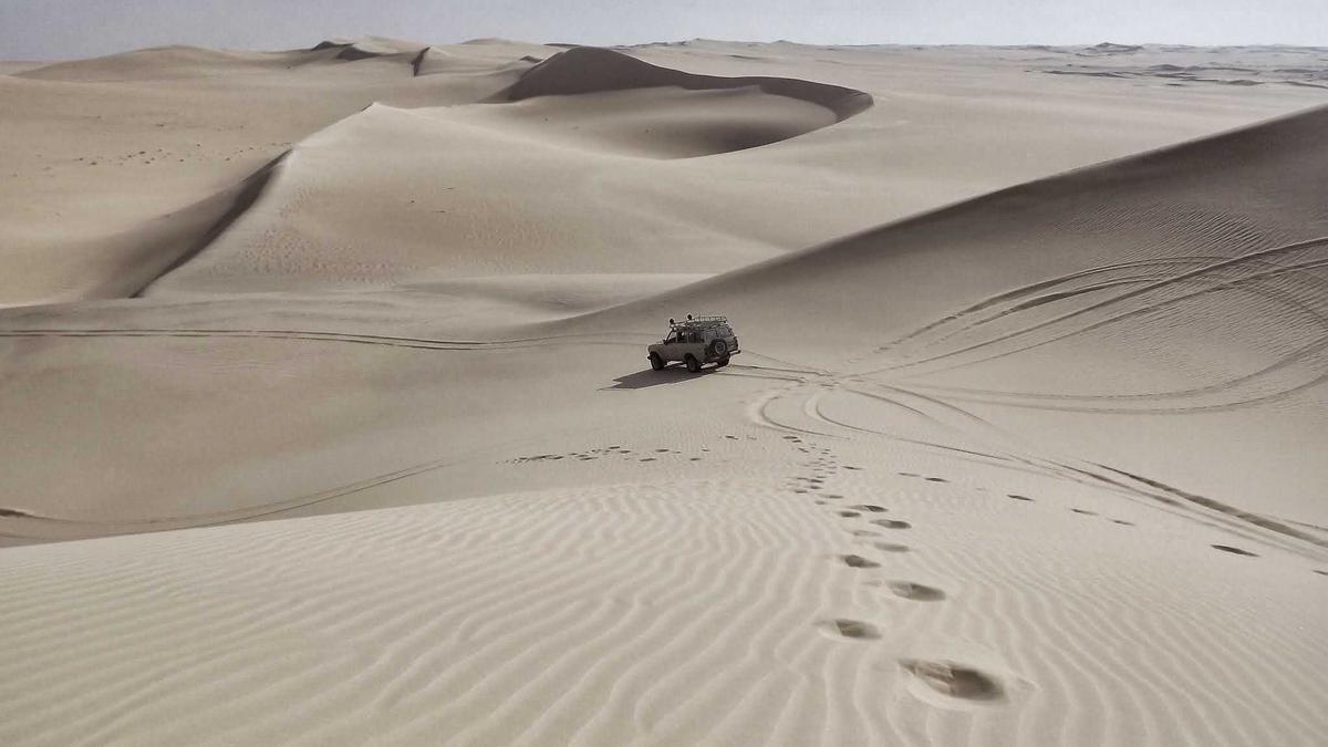 Immobilier d'entreprise : un bâtiment industriel de 5 000 m² change de mains à Meyzieu