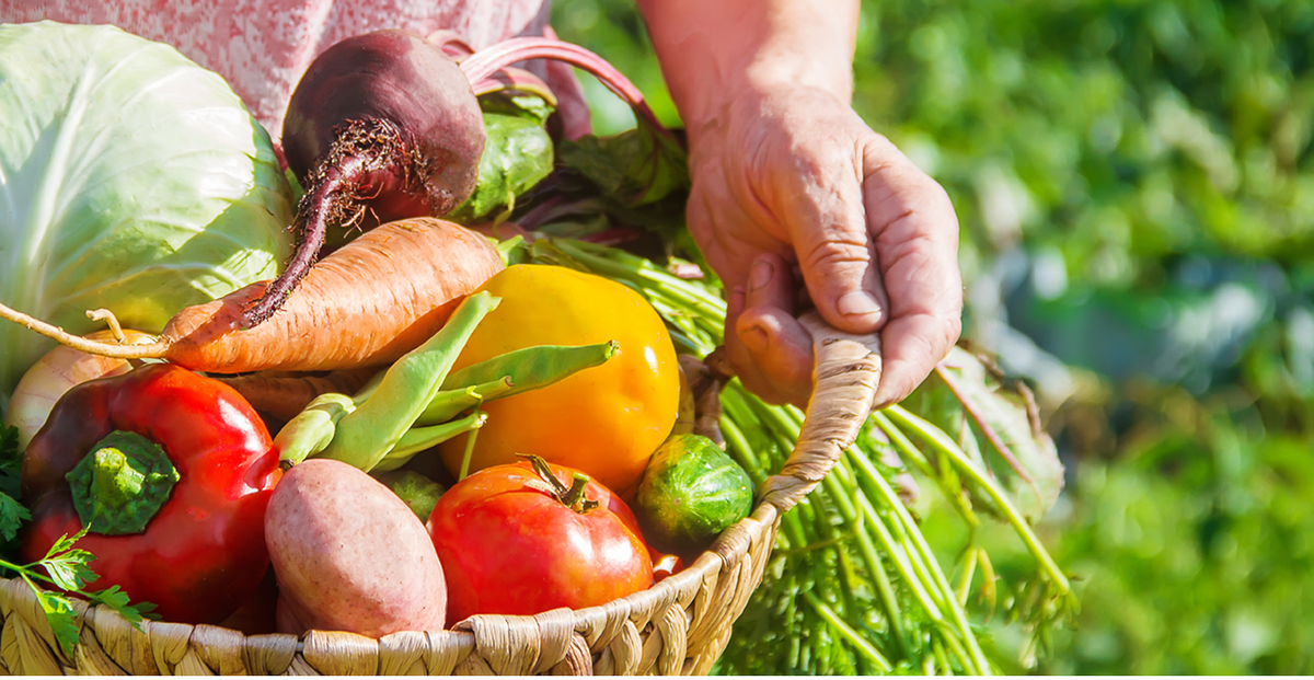 Le marché 100 % production locale de Meyzieu fait sa rentrée