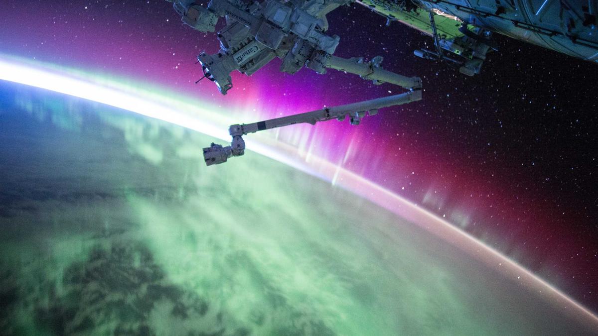 Une soirée immersion au cœur des lônes du Rhône le 27 avril au cinéma de Meyzieu